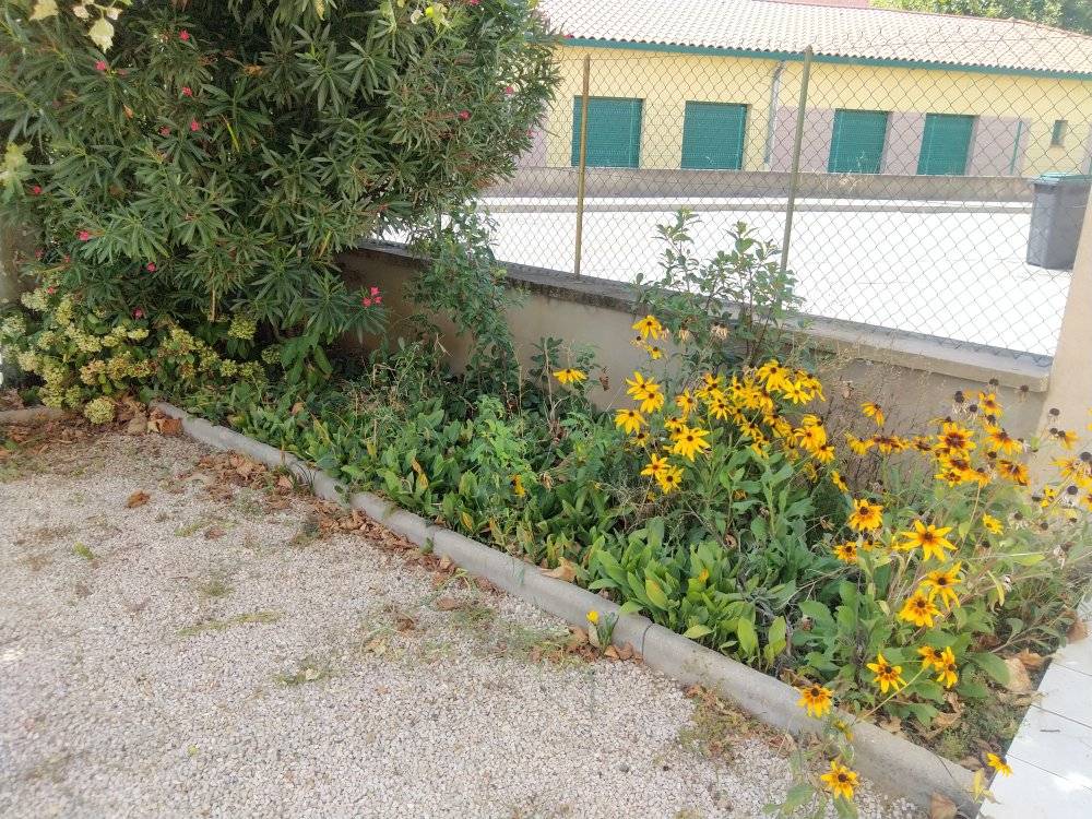 3 - Réfection d'un jardin à Portes-lès-Valence